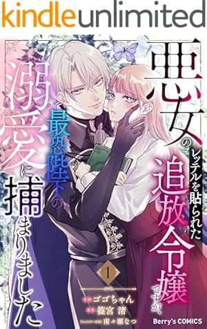 Amazon.co.jp: 身代わり令嬢を救ったのは冷酷無慈悲な氷の王子の愛で